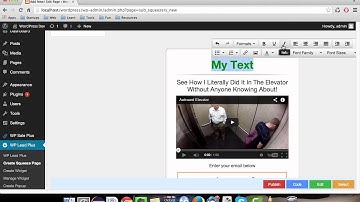 How To Edit Text On Squeeze Page / Popup / Widget In WP Lead Plus