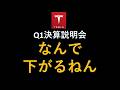 テスラ株 なんで下がるねん！Q1決算説明会で何があった？イーロンマスク発言