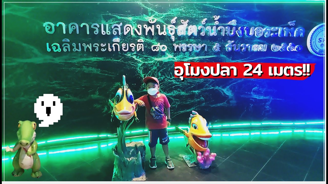 เที่ยว อาคารแสดงพันธุ์สัตว์น้ำบึงบอระเพ็ด | น้องนดล