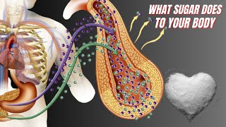 What Sugar Does To Your Body (Science-Based)