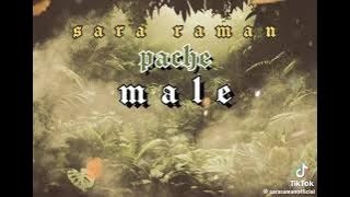 Pache Male by #Sararaman #upcoming song 2024💥💥