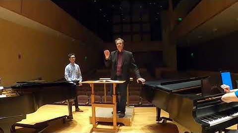 Ennio Nicotra orchestral conducting technique. IMPORTANT! Quality of the legato and staccato gesture