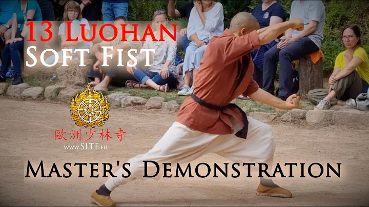 13 Luohan Postures Soft Fist Form (Master  Shi Hen...