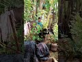 #shortvideo #funny #seharianlucu