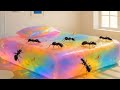 EXTREME BED ASMR: Giant Ear, Mousetrap &amp; Cake Bed Challenge | 2026 Surreal Sensory Experiment 