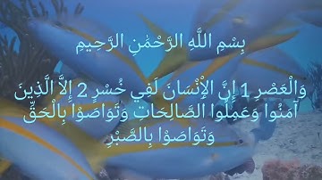 سورة العصر  الشيخ نبيل الرفاعي