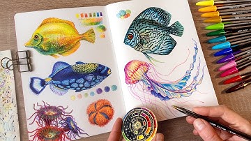 Drawing Ocean Life 🪼 with 15 Colored Ballpoint pens | no music, no talking ✨