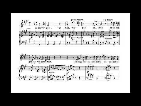 Der Kuss op. 128 (L. van Beethoven) Score Animation