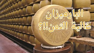 Parmesan لماذا جبنة البارميزان غالية🧀 | سعرها مرتفع وكيف تتم صناعتها