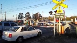 Paso A Nivel Para Fesur Chile. Línea Concepción-Coronel. Pan Las Garzas.cruce De Trenes