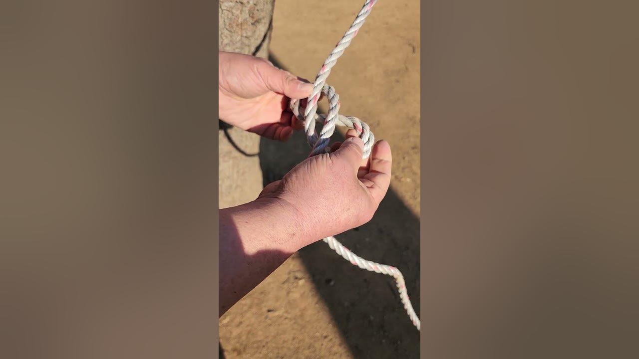 밧줄사다리 매듭 ROPE LADDER KNOT Shorts YouTube