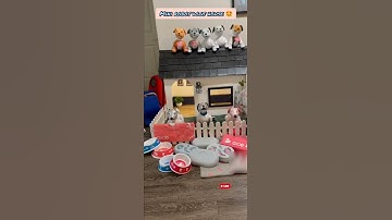 aibo robot dog house #aibo #aiborobotdog #airobot #robotdog