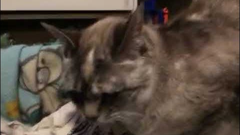 78369977930  74F232C1 BC80 4663 87E6 9C80D3FC9A78