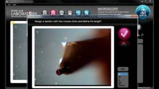 Webcam microscope 2. Webcam Laboratory Classmate Pc Edition Beta