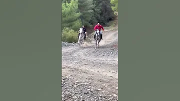 شاهد سرعه الخيل في الغابه Horse 