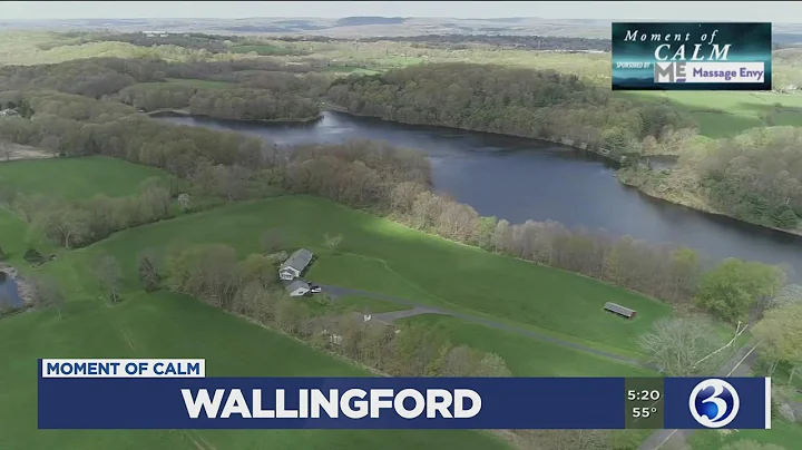 Moment of Calm: Wallingford