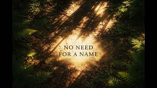 NO NEED FOR A NAME // Neo-Classical Alt-Rock / Hurdy Gurdy / Glass Armonica / Atmospheric