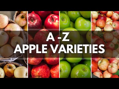 Video: What Are The Varieties Of Apples