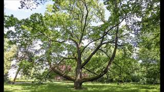 25 11 2022 E elsendo de Pola RetRadio