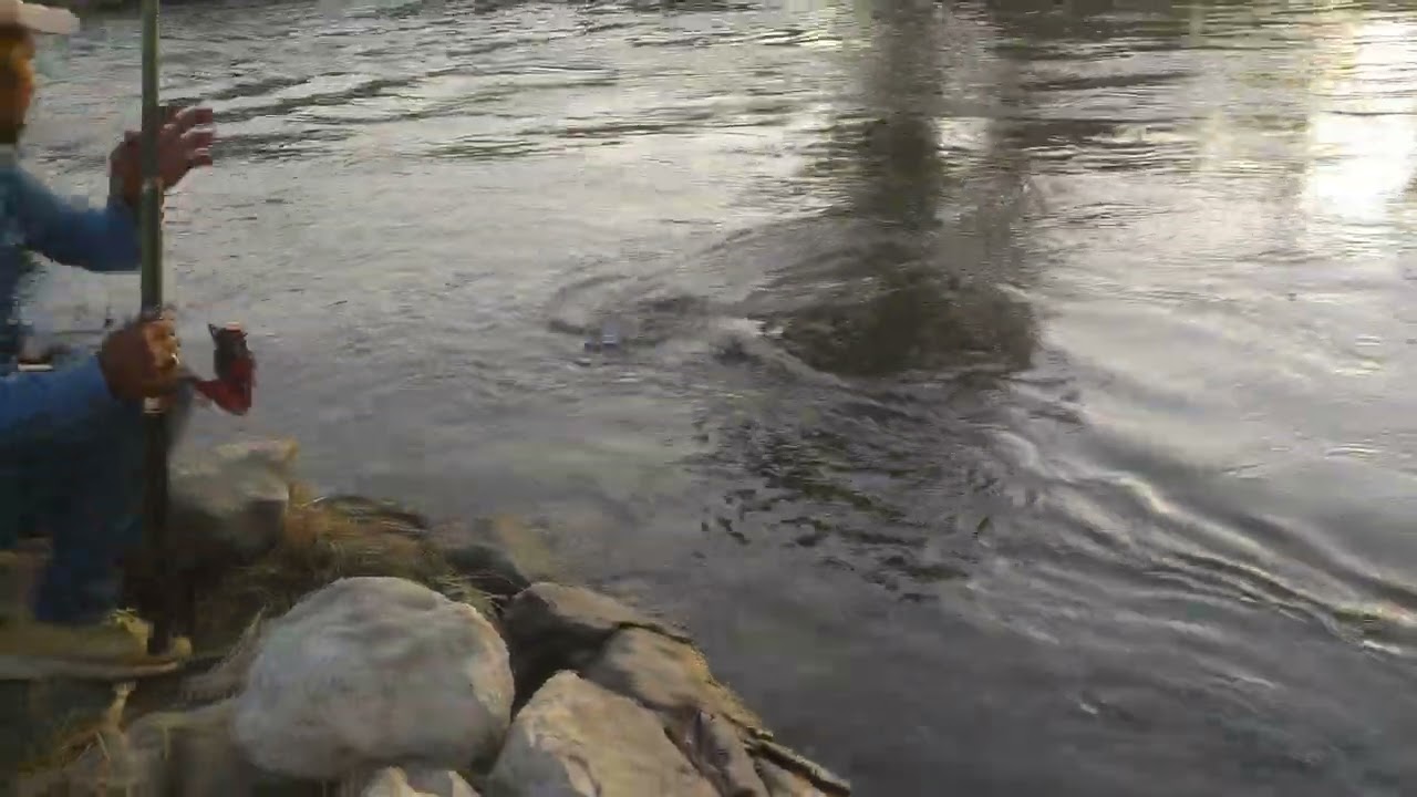 سبحان الله والحمد لله رب العالمين 🤲