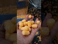 Video Image