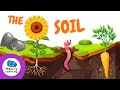 Earth and Trees: Understanding Our Planet