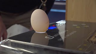 Bonsall Farms helps students hatch learning project in Hunlock Creek