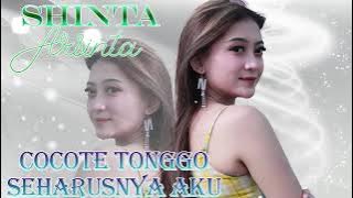 Shinta Arsinta Full Album Tebaik - Dangdut Koplo Jawa Terbaru 2021 | Cocote Tonggo - Seharusnya Aku