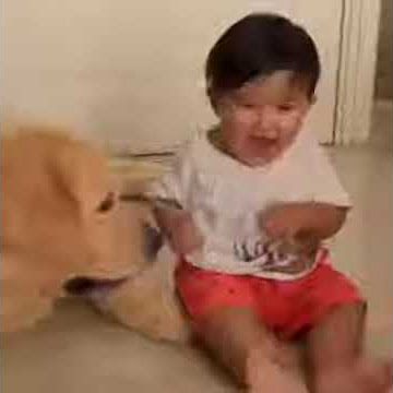 Video Lucu Baby Ry Main Sama Anjing Kesayaannya l Anak Ryan Delon & Sharena