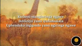 Mlindo The Vocalist Ft Shwi Nomtekhala - Wamuhle Lyrics