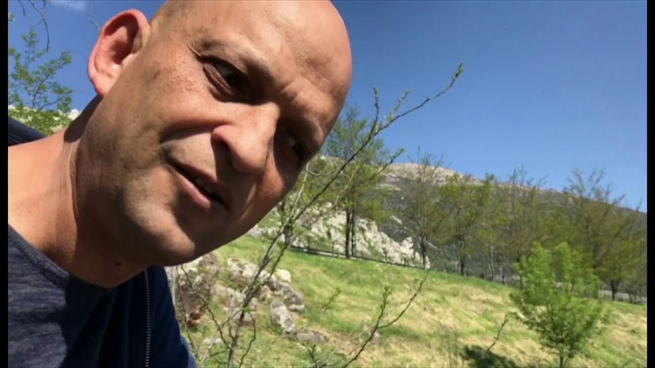 Report - Nature thriving in virus lockdown - BBC World News/UK News Channel