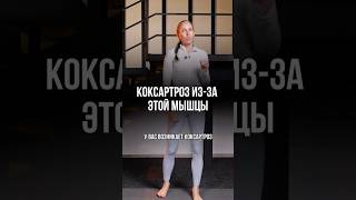 Коксартроз из за этой мышцы!  #натальяблинова #коксартроз