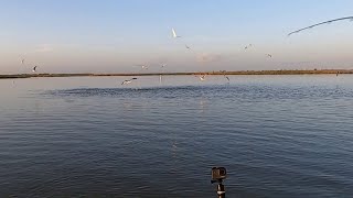 The Biggest Lie Fisherman Tell Themselves