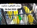 Lalukhet Sunday Market Survey (Oct 26, 2025) Lovebirds,Budgies,Cockatiel &Java Price & Market Update