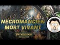 Fr pathfinder kingmaker build necromancien ensorceleur lignage mort vivant