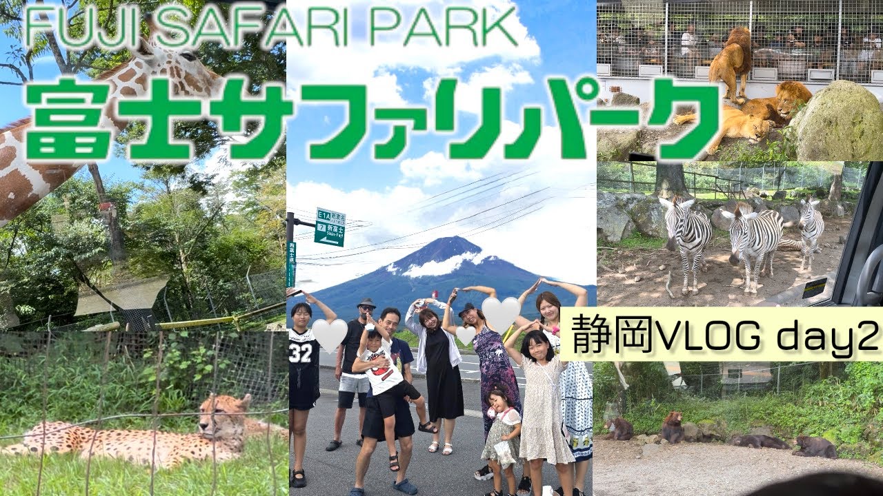 【富士サファリパーク】子連れ富士サファリパーク🐆🐻🦁ライオン近すぎて大絶叫⭐️静岡VLOG２日目♡