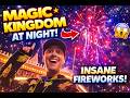 Magic Kingdom at Night… The Fireworks Were INSANE! 🎆