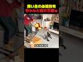 飼い主の茶番に付き合ってあげる猫たちｗ #猫 #ねこ #猫動画 #面白い猫 #猫のいる暮らし