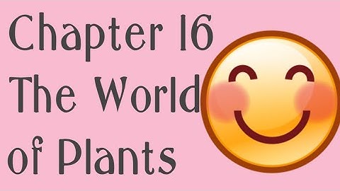 Class 2 Environmental studies Chapter 16 The World of plants