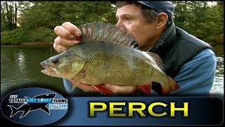 GIANT RIVER PERCH Fishing with Graeme Pullen Series 1 - Episode 14 - TAFishing