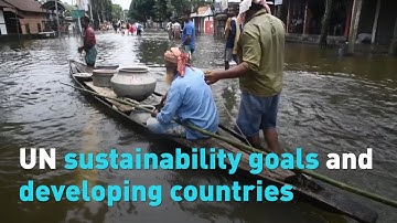 UN sustainability goals and developing countries
