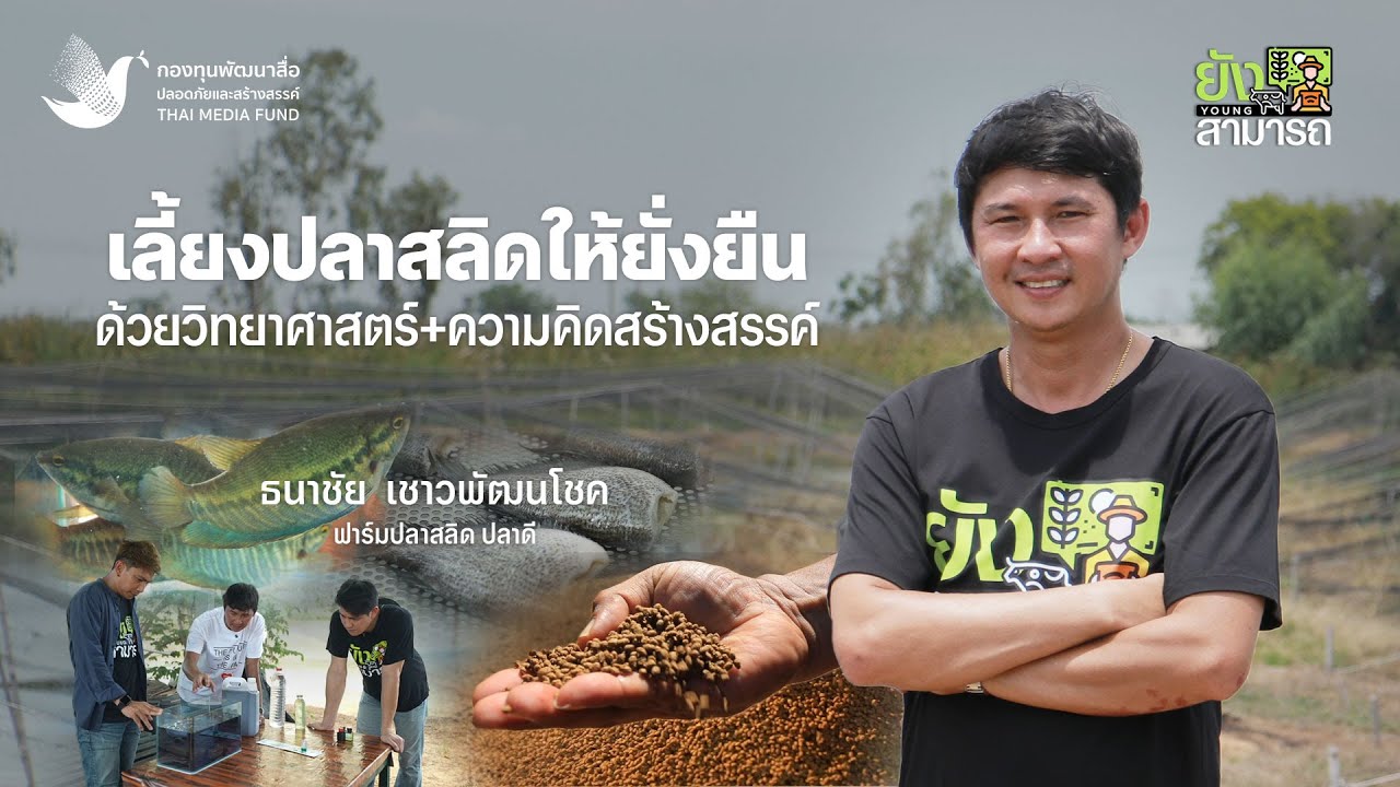 เลี้ยงปลาสลิดให้ยั่งยืน ด้วยวิทยาศาสตร์และความคิดสร้างสรรค์ |  ยังสามารถ