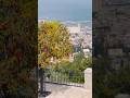 The beauty of Israel’s port city of Haifa from above. #haifaport #haifa #israel #naturelover #fly