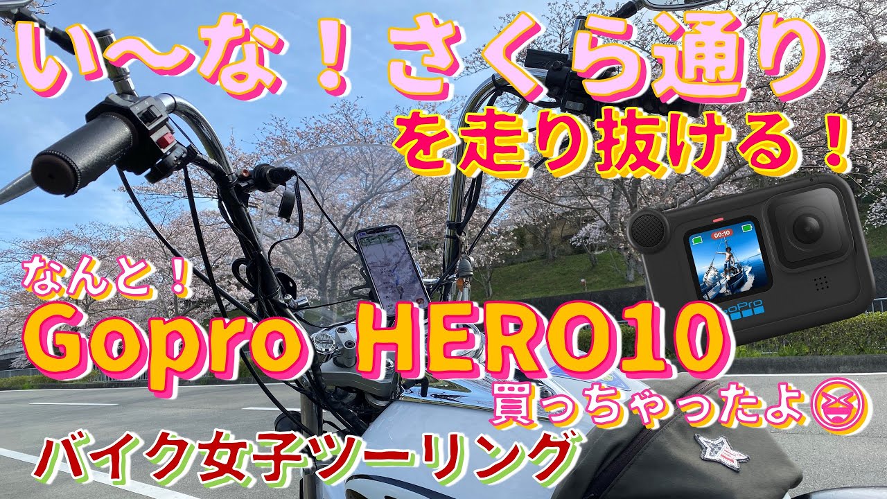 【モトブログ】【バイク女子ツーリング】なんと！Gopro HERO10買っちゃいました😆桜咲く『いーな！さくら通り』で比較動画 ...