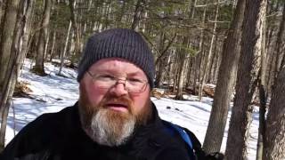 Exploring new spot for chaga