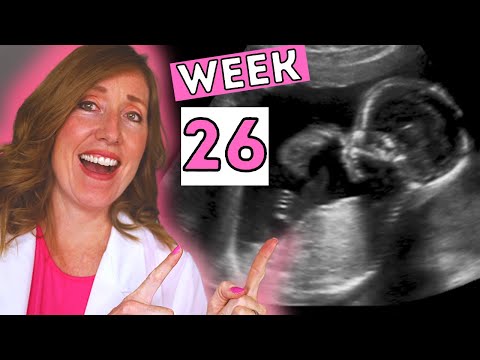 Video: 26 Weeks Pregnant - Fetus, Discharge, Belly