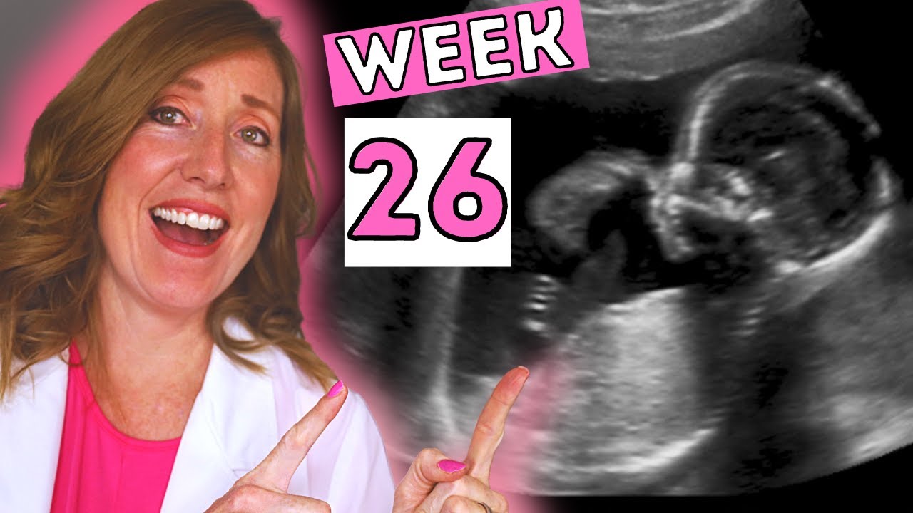 26 Weeks In Months | 26 Weeks Pregnant Ultrasound, Braxton Hicks, Sleeping, Heartburn