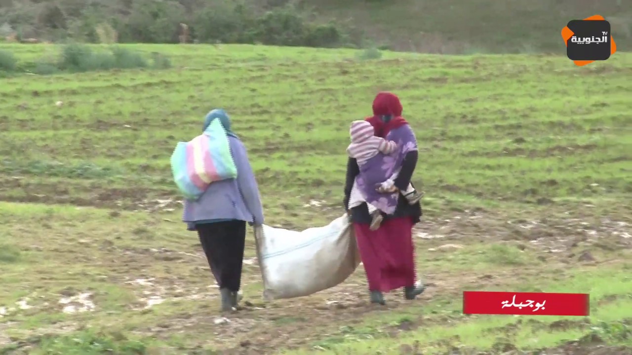 سجنان : نساء يخاطرن بالموت من أجل لقمة العيش و تلاميذ يقطعون الكيلومترات مشيا على الأقدام