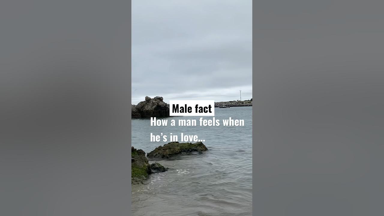 how-does-a-man-feel-when-he-s-in-love-subscribe-shorts-youtube