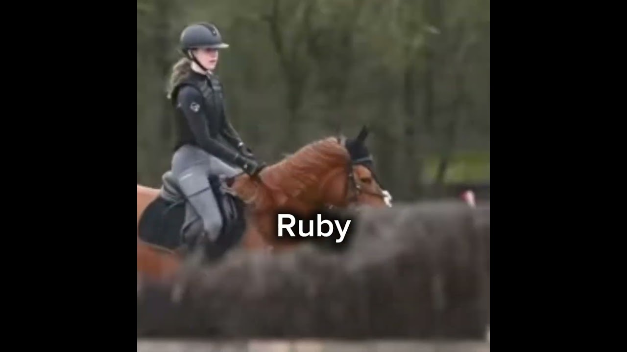 Your name your horse pt.1 ❤️🐴 